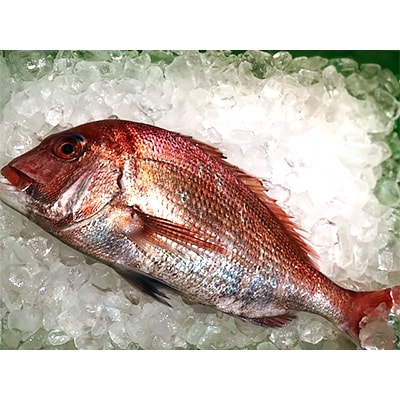 竹中水産の お刺身用天然真鯛 約2キロセット 大 中 小混 1 3枚 D22 263 お礼品詳細 ふるさと納税なら さとふる