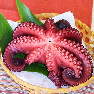 【瀬戸内海産 やわらかくて旨味が強い】ゆでタコ約750g