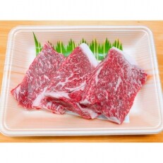 【地元ブランド】くまもとあか牛サーロインステーキ500g | ふるさと納税のお礼品