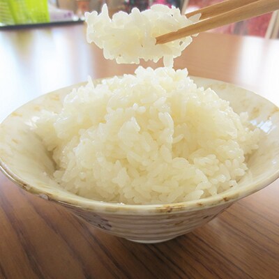 自然薯とろろごはんセット(自然薯400g、コシヒカリ1.5kg)