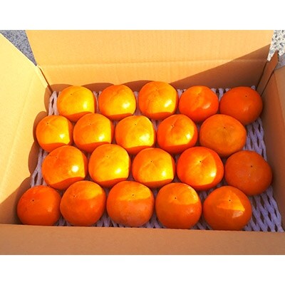 富有柿(5kg)