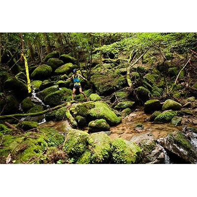 2019年9月1日開催 第3回MIZUKAMI MOUNTAIN PARTY【ロング】参加権