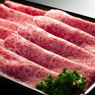 【黒毛和種A4・B4等級以上】「三戸田子牛」ウデスライス500g