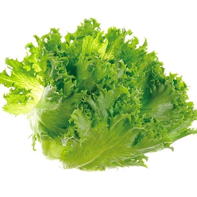 エコ作野菜10個セット