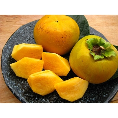 観音山太秋柿　3kg