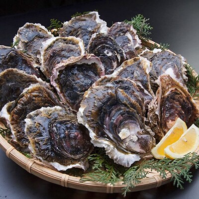 岩牡蠣セット250g前後×8個前後(加熱用)【8月発送】