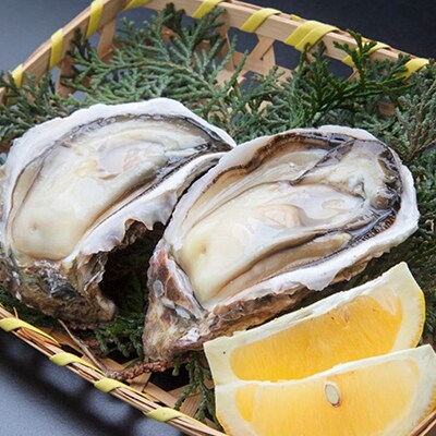 岩牡蠣セット250g前後×8個前後(加熱用)【8月発送】