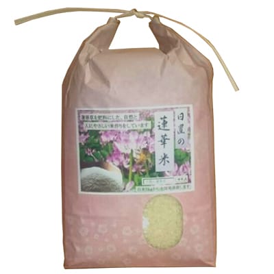 日置のお米10kg+自然薯800g