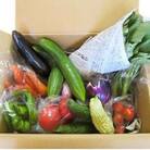 【愛川ブランド】自然農法の「季節のおまかせ野菜セット」