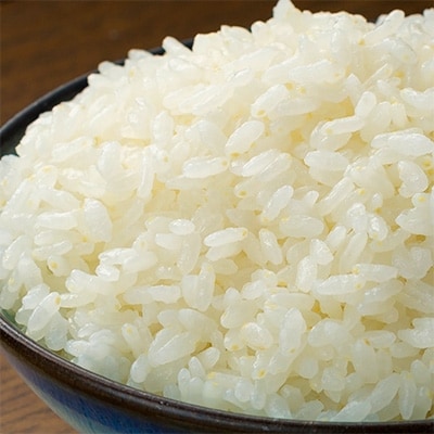【有機JAS認定】塩ミネラル米 小さな竹美人4kg(7分づき)