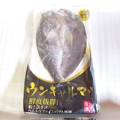 ”ウンギャルマツ”まるごと一匹冷凍パック