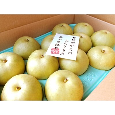 梨(二十世紀) 5kg