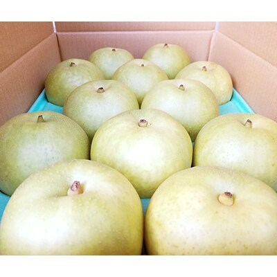 梨(二十世紀) 10kg