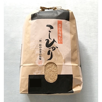 【筑波山麓土浦産】美味しく栄養分豊富な玄米(令和元年コシヒカリ玄米)12kg