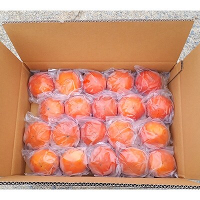 冷蔵富有柿5kg