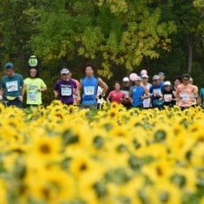 オホーツク網走マラソン出走参加権1名様分(フルマラソンの部:2018年9月30日(日)雨天決行)