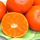 温室さぬき紅みかん　約1kg