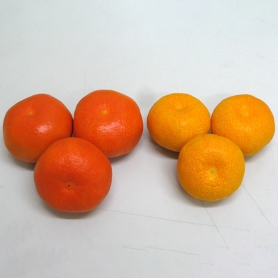 温室さぬき紅みかん　約1.2kg