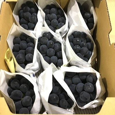ハウスピオーネ　どどーんと 約5kg