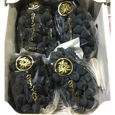 クイーンベリーA 約2kg