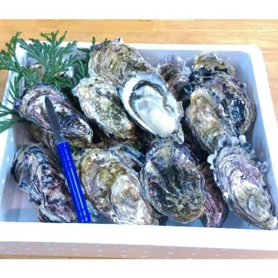 能登の春かき(加熱用)　殻付/約3kg(22ヶ～24ヶ)