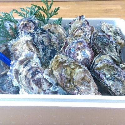 能登の春かき(加熱用)　殻付/約3kg(22ヶ～24ヶ)