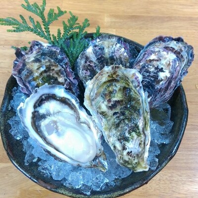 能登の春かき(加熱用)　殻付/約3kg(22ヶ～24ヶ)
