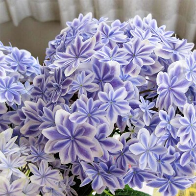 21年5月出荷 母の日に アジサイ鉢植え 万華鏡 ブルー5号 お礼品詳細 ふるさと納税なら さとふる 21年5月出荷 母の日に アジサイ鉢植え 万華鏡 ブルー5号 お礼品詳細 ふるさと納税なら さとふる