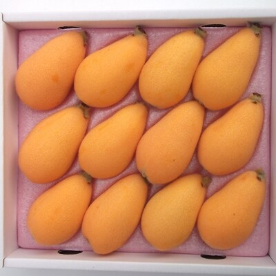 旬の味わい、九州産枇杷(びわ)ギフト箱(9-15粒入)