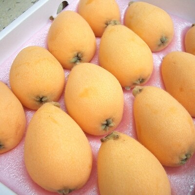 旬の味わい、九州産枇杷(びわ)ギフト箱(9-15粒入)