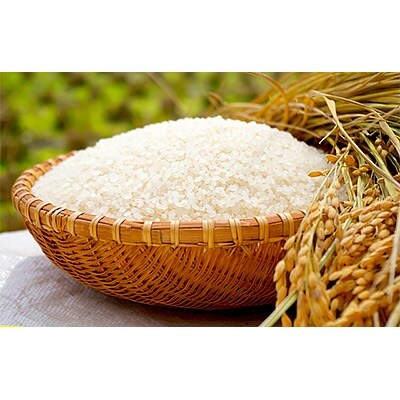 【令和6年産】紀州ふるさと　ひのひかり　白米5kg