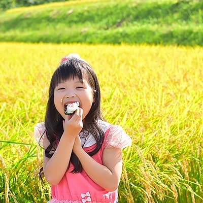 【令和6年産】紀州ふるさと　ひのひかり　白米10kg