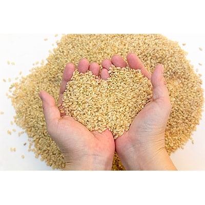 【令和6年産】紀州ふるさと　ひのひかり　玄米20kg(10kg×2袋)