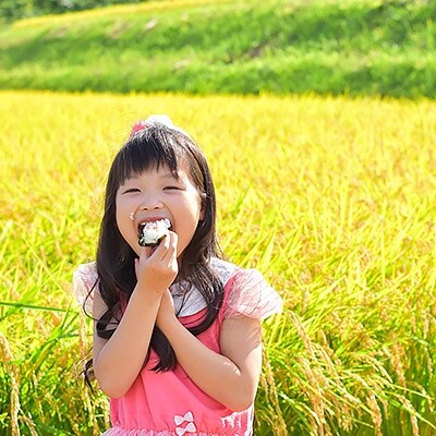 【令和6年産】紀州ふるさと　ひのひかり　玄米20kg(10kg×2袋)