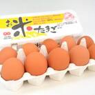 【愛川ブランド】お米たまご10kg　140個+割れ保証10個前後=計150個前後