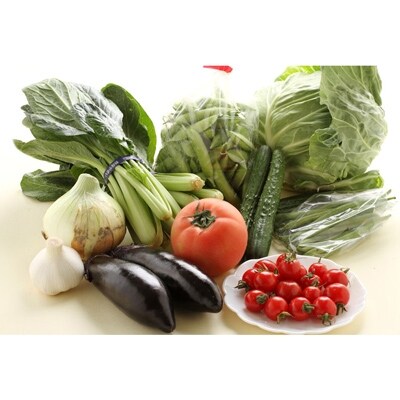 旬の新鮮野菜セットたっぷり15種以上