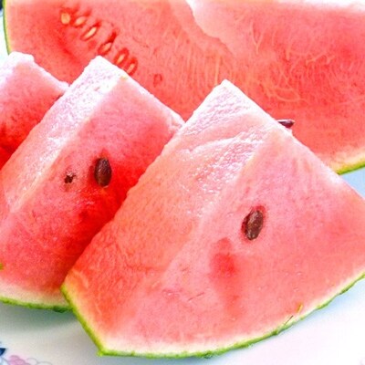 小玉すいか ≪ひとりじめ7≫ 2~3玉