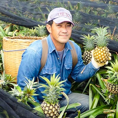 【2021年発送】當銘さんグループのスナックパイン約2.2kg