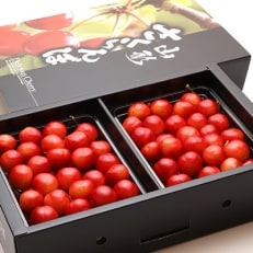 食べごたえ抜群「紅秀峰」500g×2P
