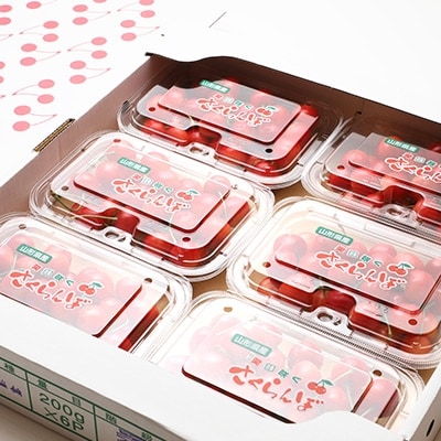 いっぱい食べたい!ボリュームたっぷり「佐藤錦」200g×6P