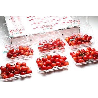 いっぱい食べたい!ボリュームたっぷり「佐藤錦」200g×6P