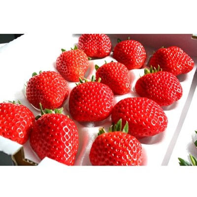 藤形農園 はしもと旬彩いちご 24粒 3l 4lサイズ お礼品詳細 ふるさと納税なら さとふる