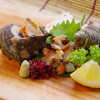 若狭湾 天然 活サザエ 約3kg(27-39個位)