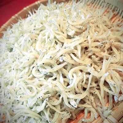 釜揚げしらす120g×6袋