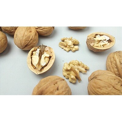 信州長野県産菓子くるみ むきタイプ国産 100g 3袋 お礼品詳細 ふるさと納税なら さとふる