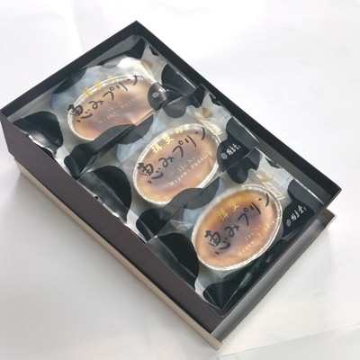揖斐(いび)の恵プリン 6個入り
