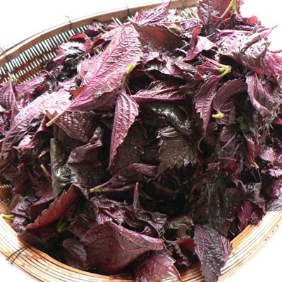 しそ漬け梅干し 1kg 昔ながらのしょっぱい梅干し (塩分17%) すっぱい 紀州南高梅 和歌山県産