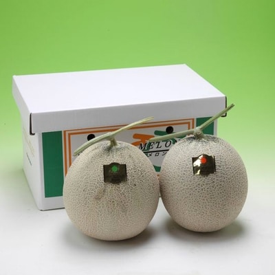 山形県庄内産　プレミアムメロン赤青2玉入