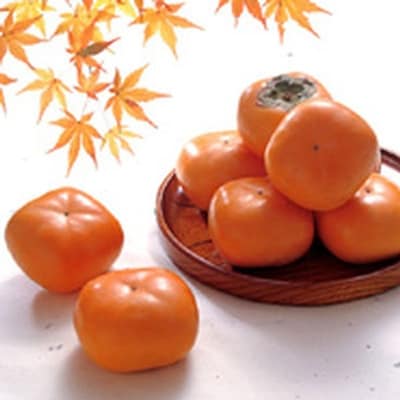 山形県酒田市産　庄内柿7.5kg