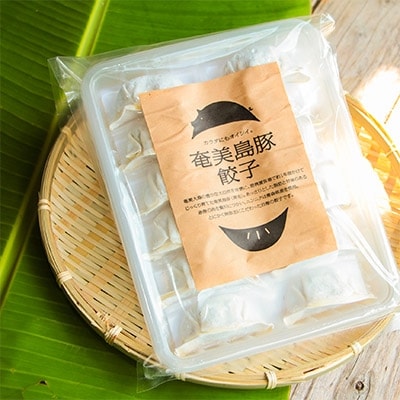 奄美島豚(黒毛)を贅沢に使用したこだわりの奄美島豚餃子